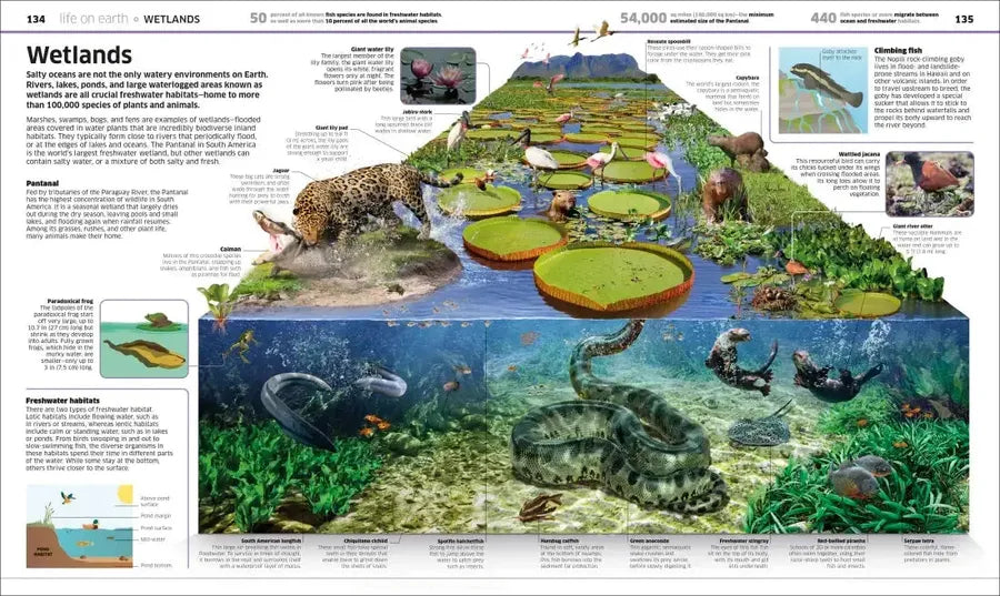 Knowledge Encyclopedia Planet Earth! US - Hardback