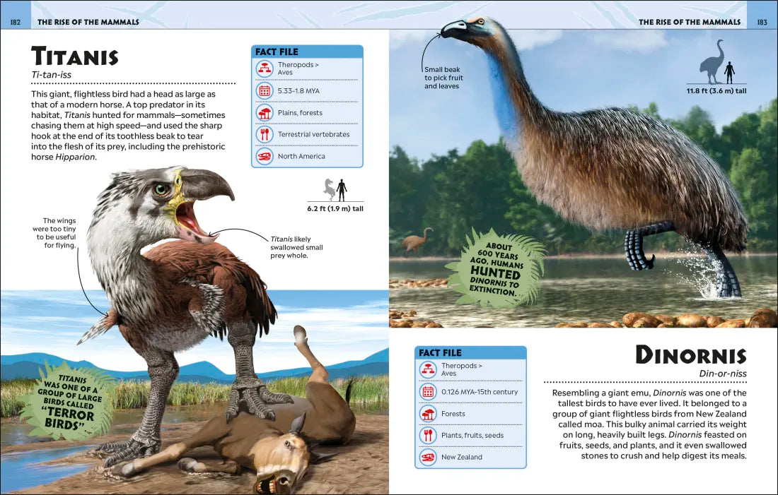 Extraordinary Dinosaurs and Other Prehistoric Life Visual Encyclopedia GB - Hardback
