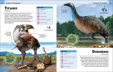 Extraordinary Dinosaurs and Other Prehistoric Life Visual Encyclopedia GB - Hardback
