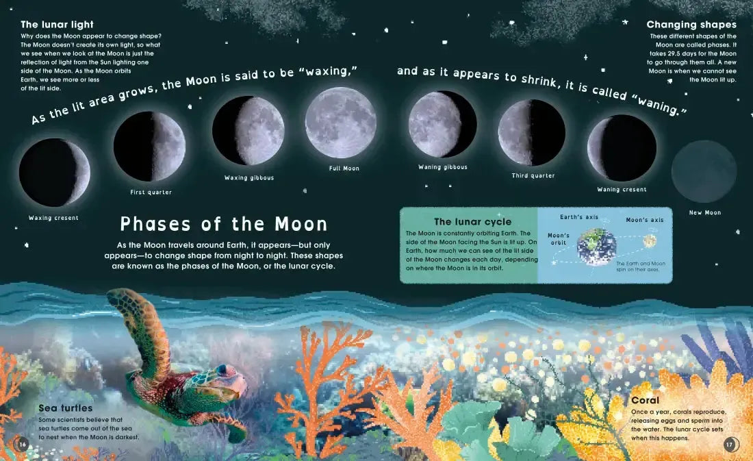 The Moon US - Hardback