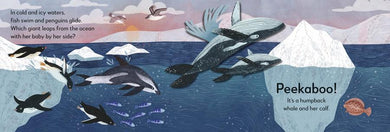 Pop-Up Peekaboo! Ocean US - Board book