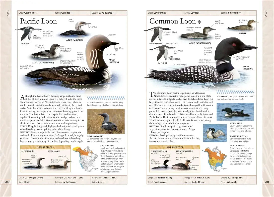 Birds of Canada US - Book