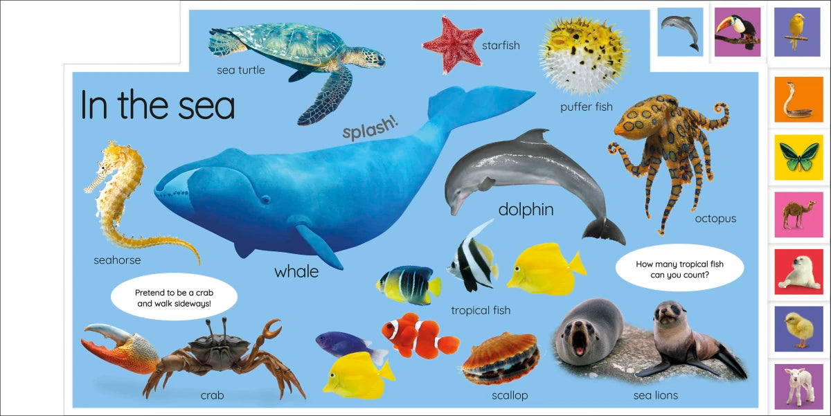 My First Animals: Let's Squeak and Squawk! US - Board book