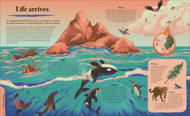 Galapagos US - Hardback