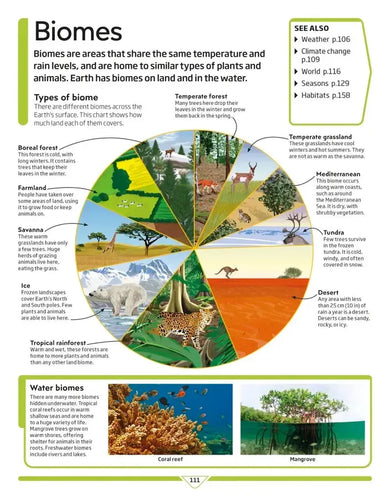 DK Children's Encyclopedia US - Hardback