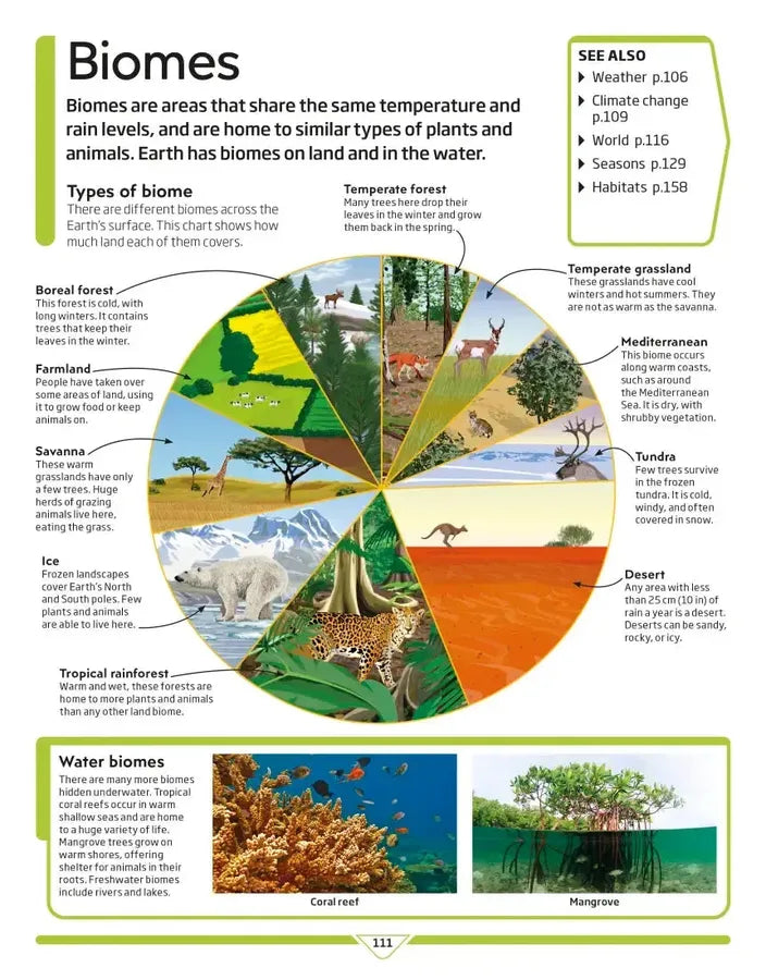 DK Children's Encyclopedia US - Hardback