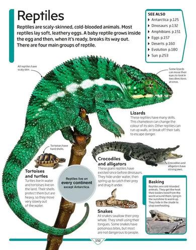 DK Children's Encyclopedia US - Hardback