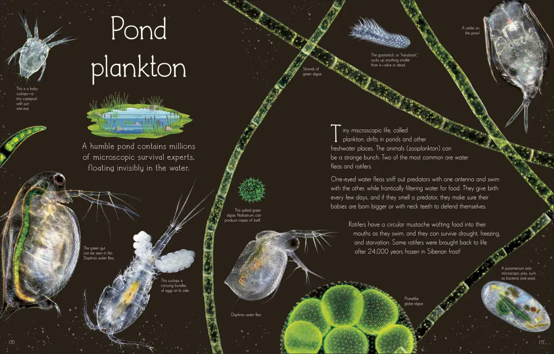 An Anthology of Aquatic Life US - Hardback