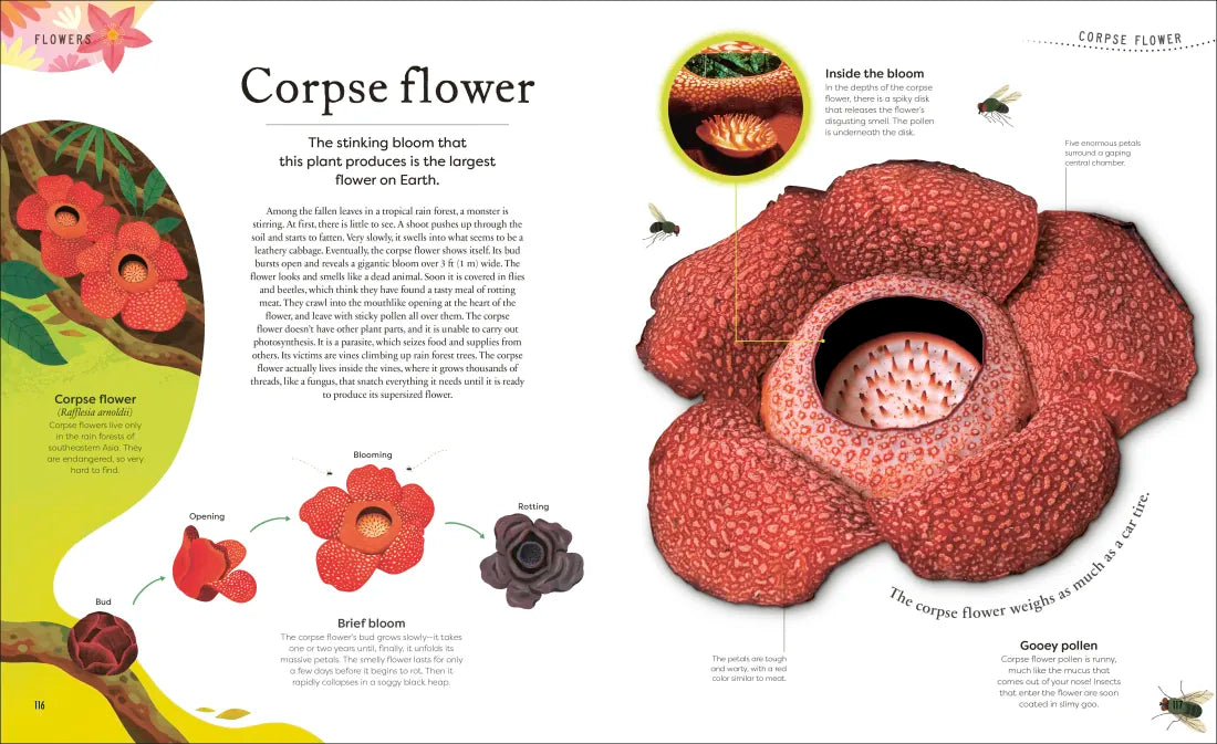 The Secret World of Plants US - Hardback