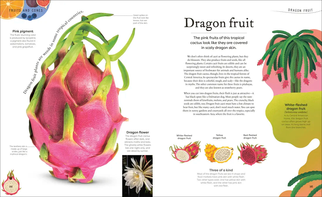 The Secret World of Plants US - Hardback