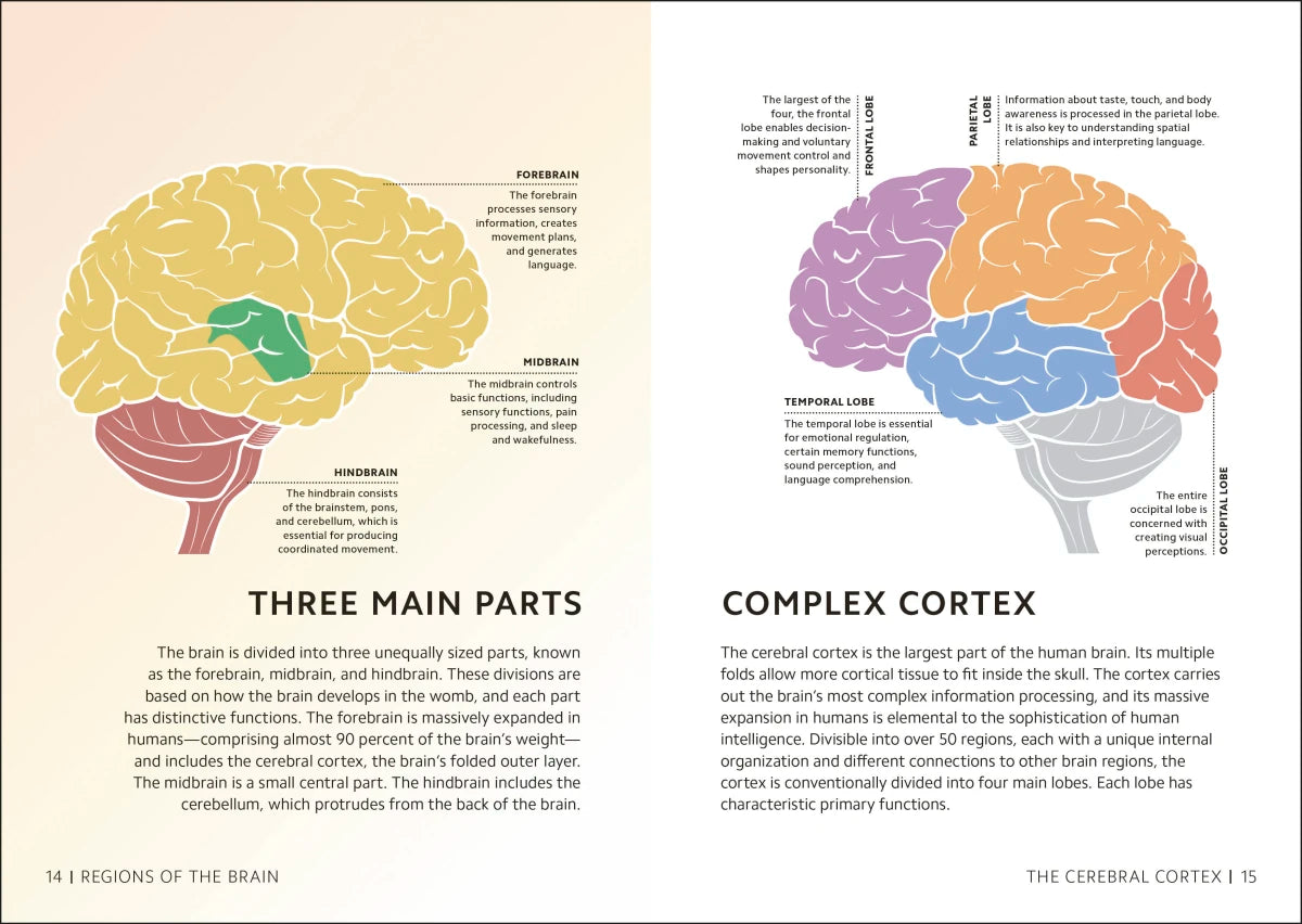 Simply The Brain US - Hardback