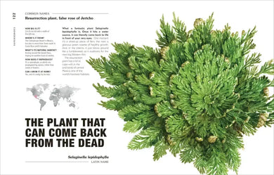 Hortus Curious US - Hardback