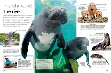 Eyewitness The Amazon US - Paperback / softback