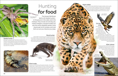 Eyewitness The Amazon US - Paperback / softback