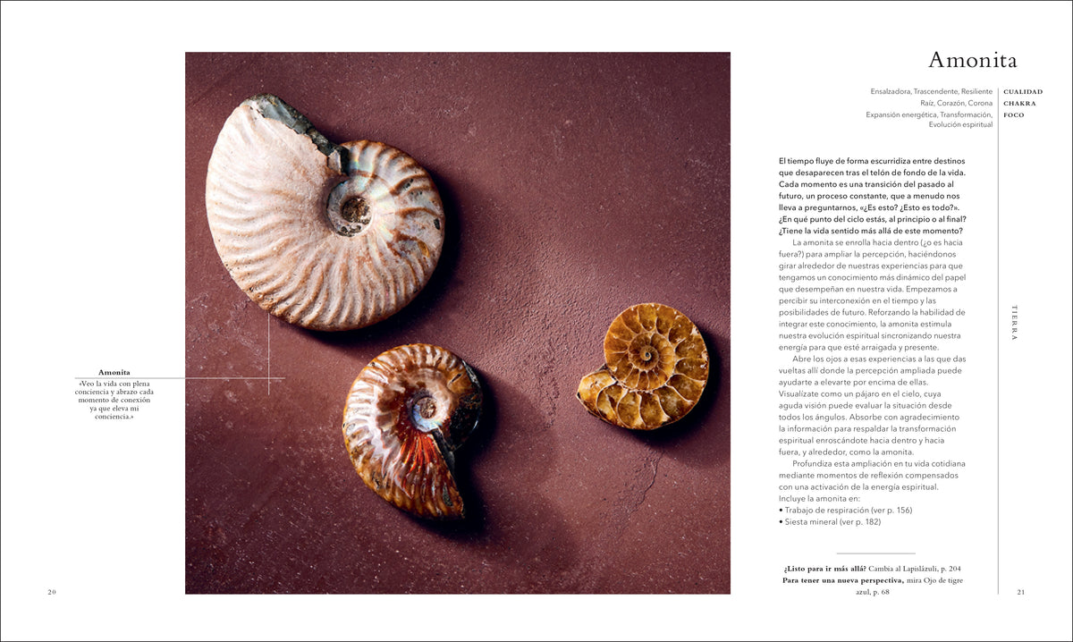 Cristales (Crystals) interior 3 (ISBN 9780744064261)