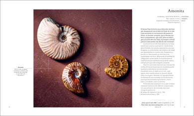 Cristales (Crystals) interior 3 (ISBN 9780744064261)