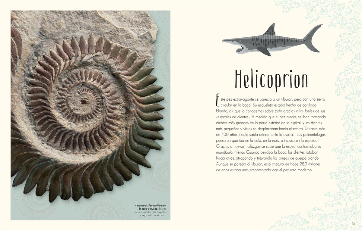 Antología de dinosaurios y vida prehistórica (Dinosaurs and Other Prehistoric Life) interior 2 (ISBN 9780744064391)