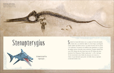 Antología de dinosaurios y vida prehistórica (Dinosaurs and Other Prehistoric Life) interior 4 (ISBN 9780744064391)