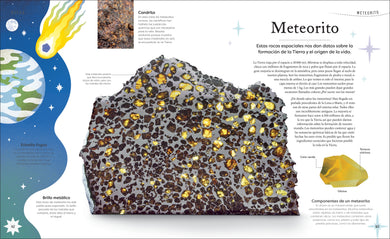Tesoros de la naturaleza (Nature's Treasures) interior 6 (ISBN 9780744064414)
