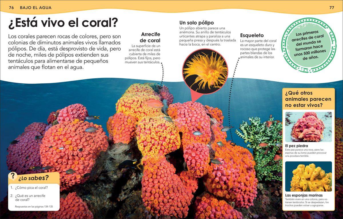 ¿Sabías qué? Animales (Did You Know? Animals) interior 3 (ISBN 9780744064513)