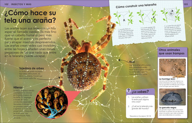 ¿Sabías qué? Animales (Did You Know? Animals) interior 4 (ISBN 9780744064513)