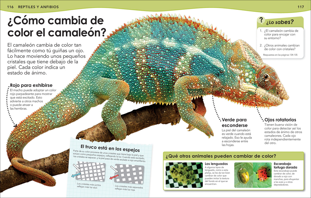 ¿Sabías qué? Animales (Did You Know? Animals) interior 5 (ISBN 9780744064513)