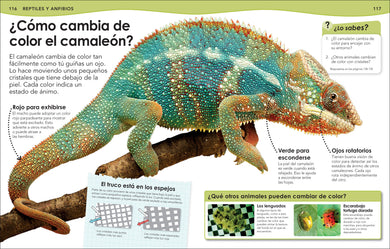 ¿Sabías qué? Animales (Did You Know? Animals) interior 5 (ISBN 9780744064513)