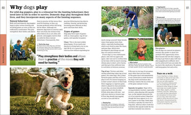 The Beginner's Dog Training Guide US - Paperback / softback