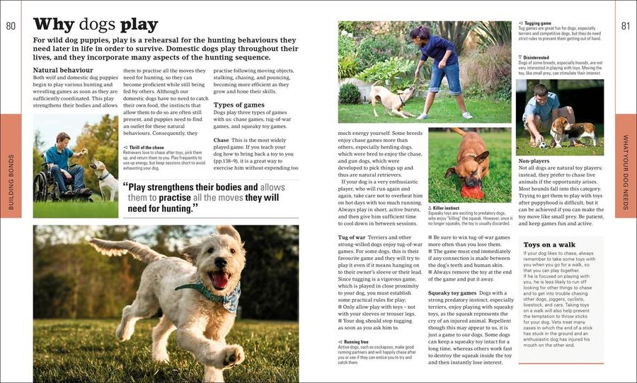 The Beginner's Dog Training Guide US - Paperback / softback