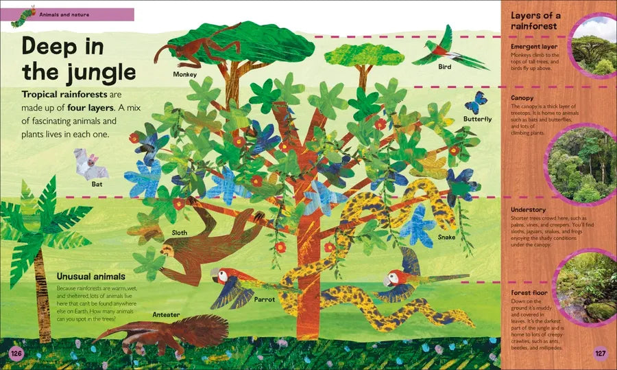 The Very Hungry Caterpillar's Very First Encyclopedia US - Hardback