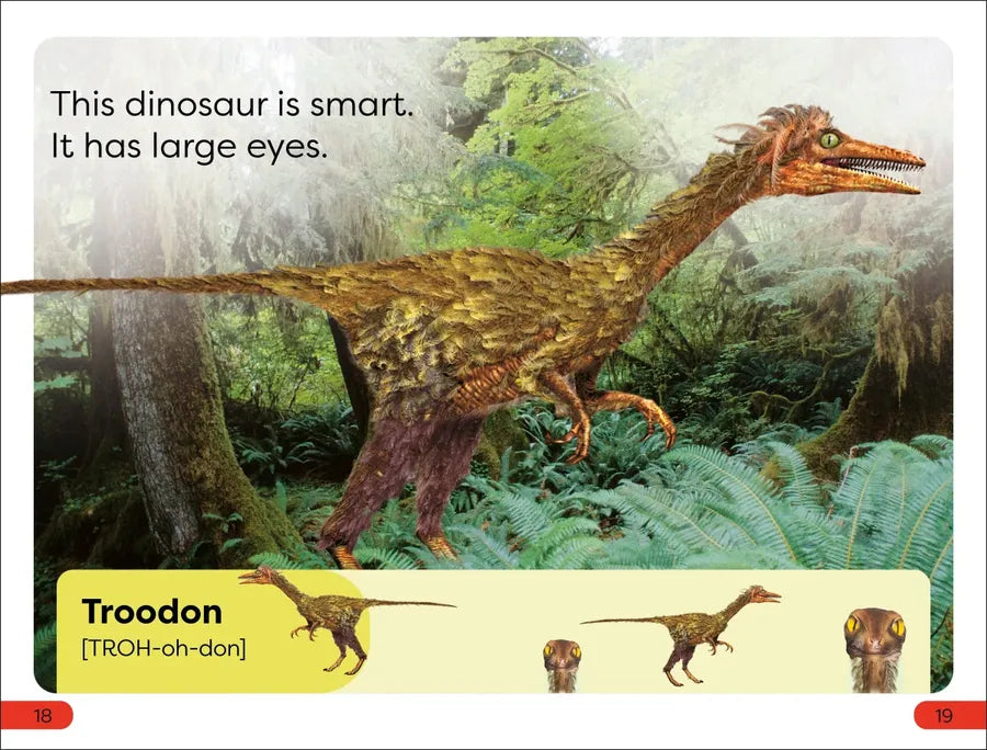 DK Super Readers Pre-Level Meet the Dinosaurs US - Hardback
