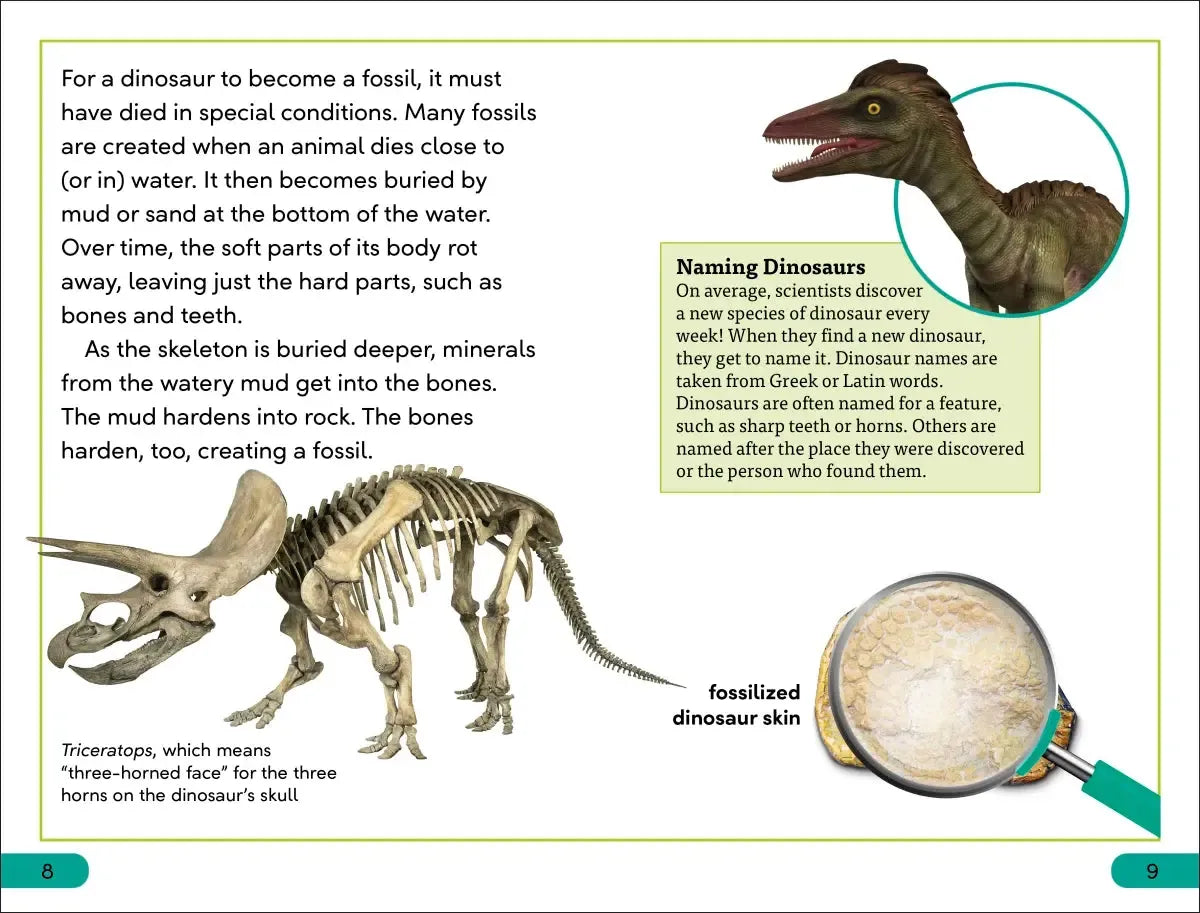 DK Super Readers Level 3 Dinosaurs Discovered US - Paperback / softback