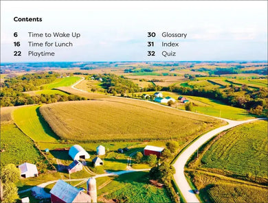 DK Super Readers Level 1 A Day on the Farm US - Hardback