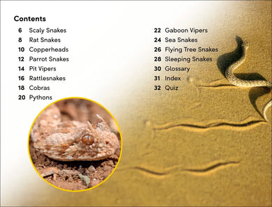 DK Super Readers Level 2 Snakes Slither and Hiss US - Paperback / softback