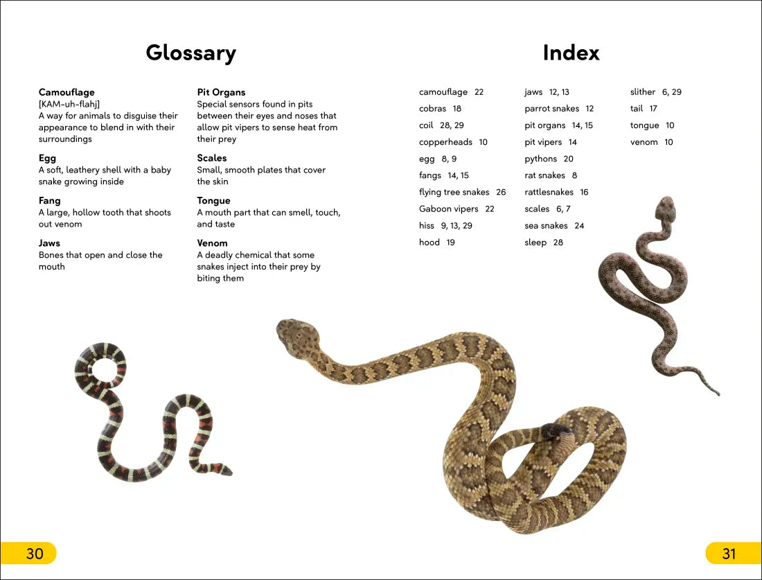 DK Super Readers Level 2 Snakes Slither and Hiss US - Paperback / softback
