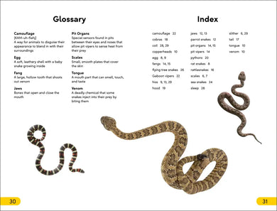 DK Super Readers Level 2 Snakes Slither and Hiss US - Paperback / softback