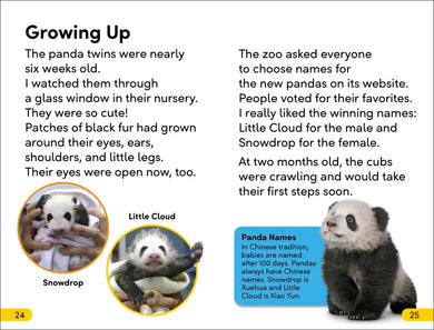 DK Super Readers Level 2 The Great Panda Tale US - Hardback