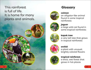 DK Super Readers Pre-Level Into the Rainforest US - Hardback