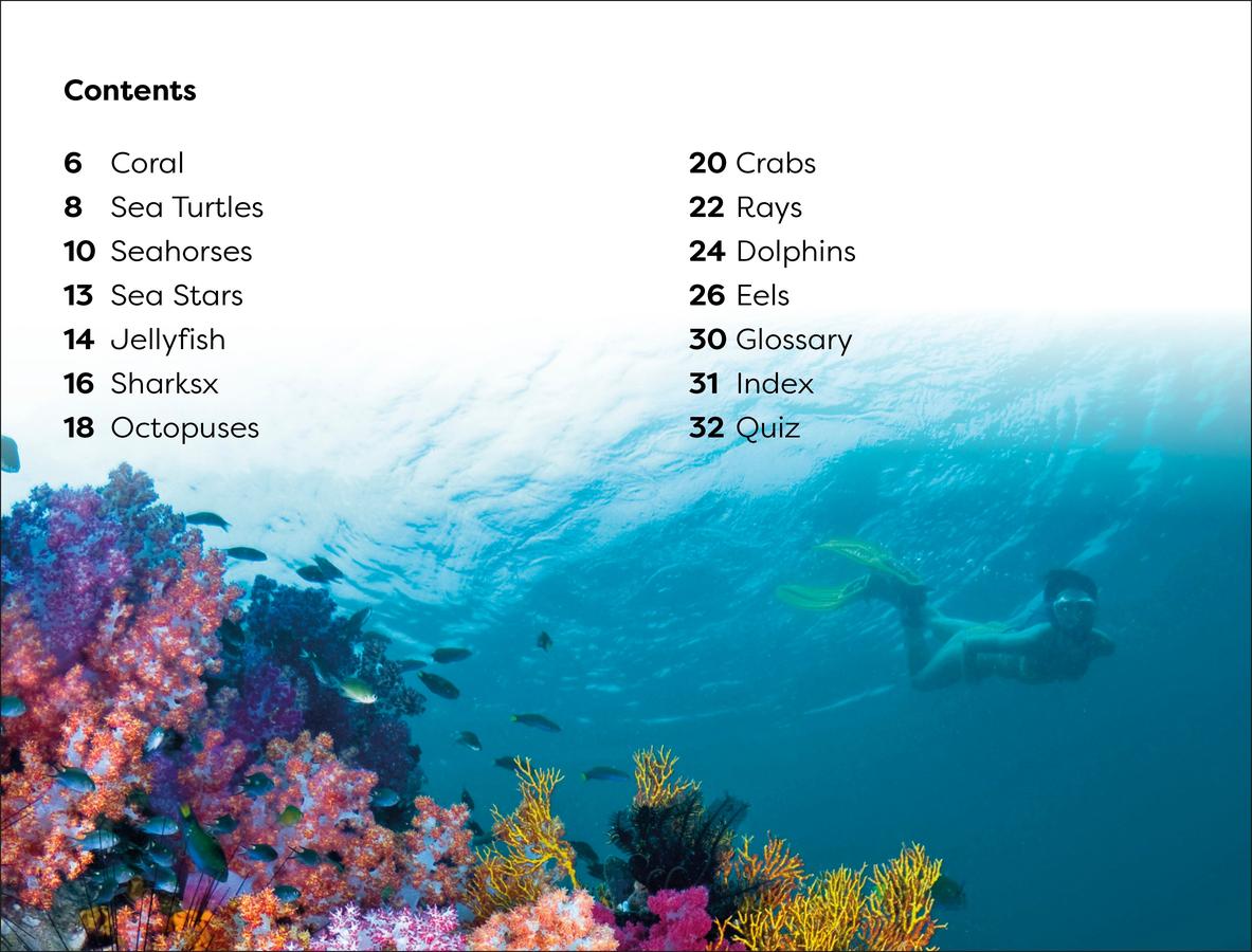 DK Super Readers Level 1 Explore the Coral Reef US - Paperback / softback