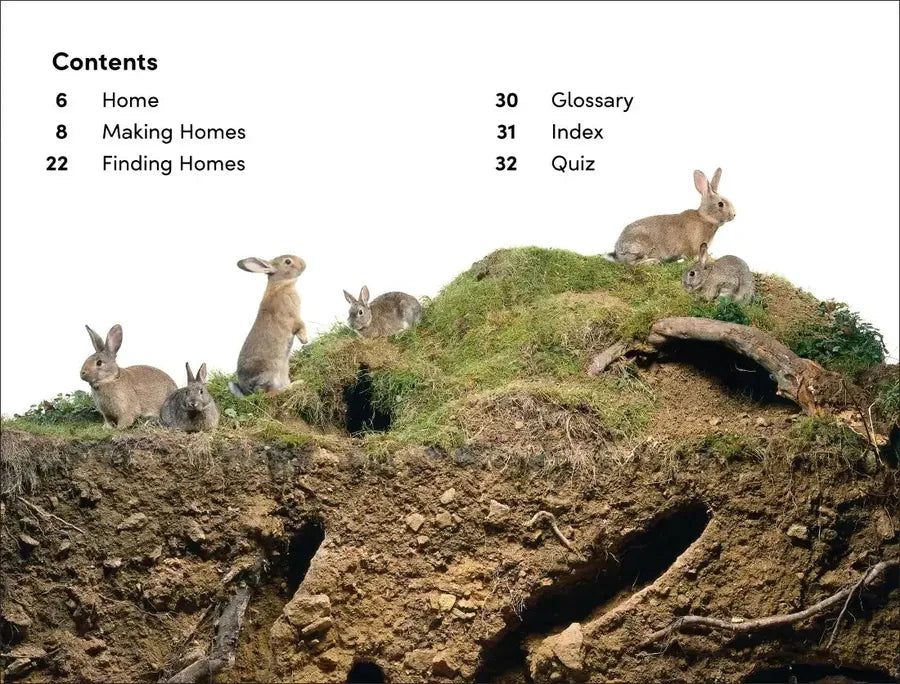 DK Super Readers Level 2 Animals at Home US - Hardback