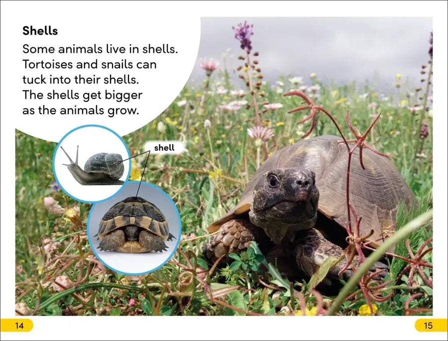 DK Super Readers Level 2 Animals at Home US - Paperback / softback