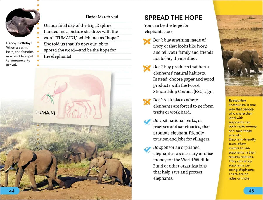 DK Super Readers Level 4 Hope for the Elephants US - Paperback / softback