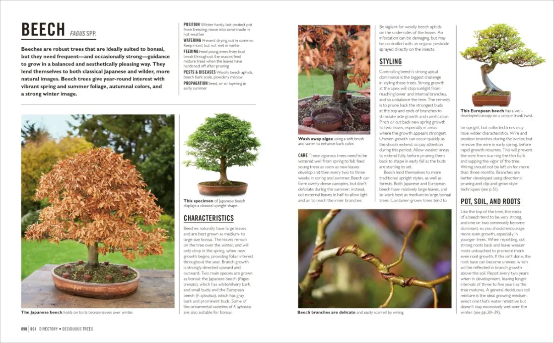 Grow Bonsai US - Paperback / softback