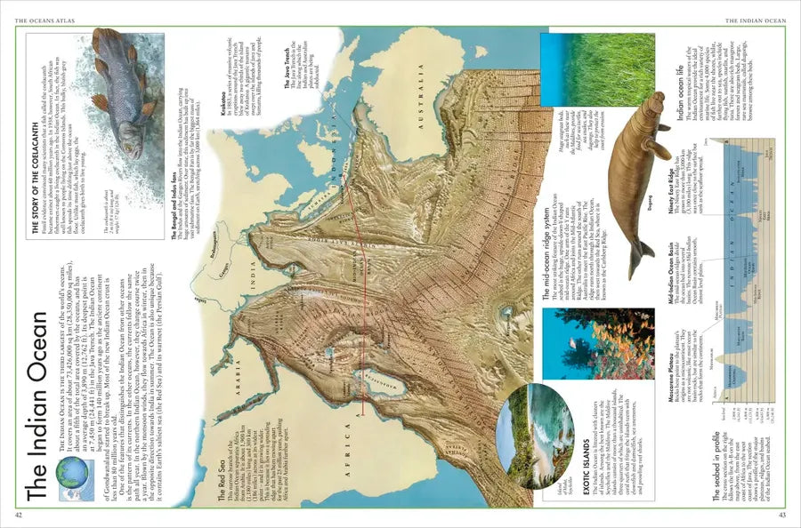 The Oceans Atlas US - Hardback
