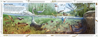 Habitats of the World US - Hardback