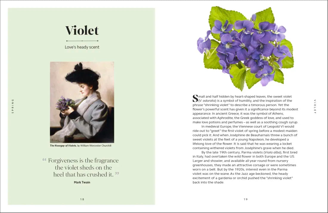 The Secret Language of Flowers US - Hardback