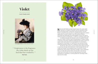The Secret Language of Flowers US - Hardback