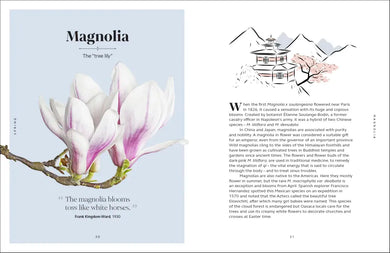 The Secret Language of Flowers US - Hardback