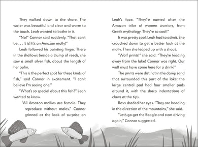 The Secret Explorers and the Desert Disappearance US - Paperback / softback