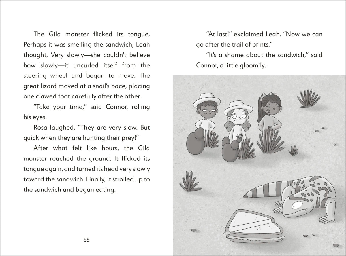 The Secret Explorers and the Desert Disappearance US - Paperback / softback
